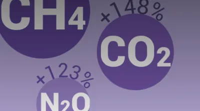  image linking to Guía para una internet eco-amigable 