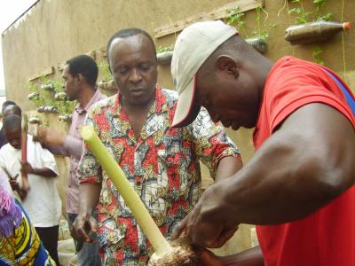  image linking to Formation en agriculture communautaire urbaine au Cameroun 